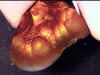 fireagate_window16.jpg (19259 bytes)