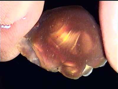 fire_agate_window01.jpg (15559 bytes)
