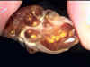 fire_agate_window02.jpg (17169 bytes)