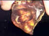 fire_agate_window03.jpg (18583 bytes)