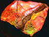 ammolite_rough7-6_01-1.jpg (28648 bytes)