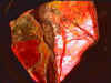 ammolite_rough7-6_01-3.jpg (24734 bytes)