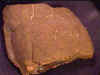 ammolite_rough7-6_01-6.jpg (20030 bytes)