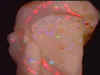 opalCP_11mile_rough8-6_01-3.jpg (12389 bytes)
