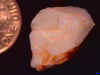 opal_rough_CP11mile8-14_03-2.jpg (13630 bytes)