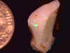 opal_rough_CP11mile8-14_05-1.jpg (13723 bytes)