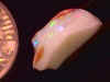 opal_rough_CP11mile8-14_07-1.jpg (13142 bytes)