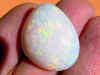 DSC00018.jpg (18628 bytes)