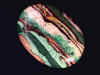 rainbow_silica_p1_24.jpg (19375 bytes)