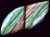 rainbow_silica_p3_07.jpg (24574 bytes)