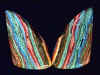 rainbow_silica_p4_04.jpg (24011 bytes)