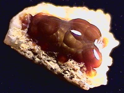fireagate_display01.jpg (29020 bytes)