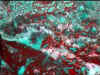 rough_chrysocolla_apache12-11_01-1.jpg (32146 bytes)