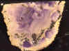 ofrs12.jpg (21752 bytes)