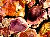 rough_opalfluorite1-11_01-1.jpg