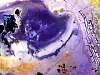 rough_opalfluorite1-24_05-1.jpg