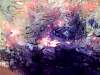 rough_opalfluorite2-4_03-3.jpg
