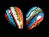 cab_rainbow-silica2-28_14.jpg