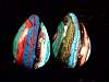 cab_rainbow-silica2-28_16.jpg