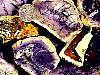 rough_opalfluorite7-27_01-1.jpg