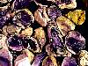 rough_opalfluorite7-27_01-4.jpg