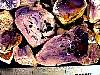 rough_opalfluorite7-27_01-6.jpg