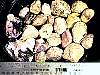 rough_opalfluorite7-27_01-7.jpg