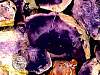 rough_opal-fluorite09-12_02-4.jpg