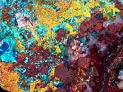 rough_chrysocolla-apache12-27_01-1.jpg