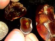 rough_agate-fire1-8_02-1.jpg