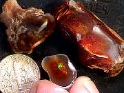 rough_agate-fire1-8_02-2.jpg