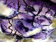 rough_opal-fluorite1-8_01-1.jpg