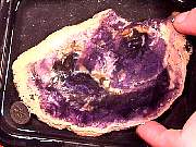 rough_opal-fluorite7-27_01-3.jpg