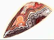 cab_agate-red-crayylace8-12_01-01.jpg