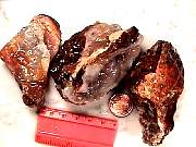 rough_agate-fire-deer3-2_01-02.jpg