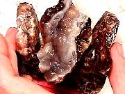 rough_agate-fire-deer3-2_01-03.jpg