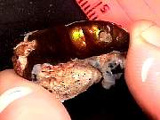 rough_agate-fire3-2_01-04.jpg