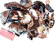 rough_agate-marfa3-2_01-01.jpg