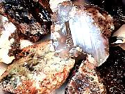 rough_agate-marfa3-2_01-02.jpg