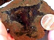rough_agate-priday3-2_01-04.jpg