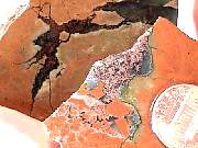 rough_agate-priday3-2_01-05.jpg