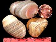 rough_agate-rainflower3-2_01-01.jpg