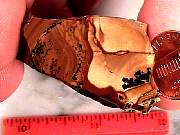 rough_jasper-sahara3-2_01-02.jpg