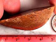 rough_jasper-sahara3-2_02-03.jpg