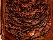 rough_jasper-sahara3-2_03-01.jpg