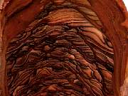 rough_jasper-sahara3-2_03-03.jpg