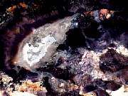 rough_opal-fluorite3-2_03-01.jpg
