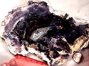 rough_opal-fluorite3-2_03-02.jpg