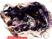 rough_opal-fluorite3-2_03-03.jpg
