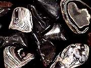 rough_psilomelane3-2_01-01.jpg